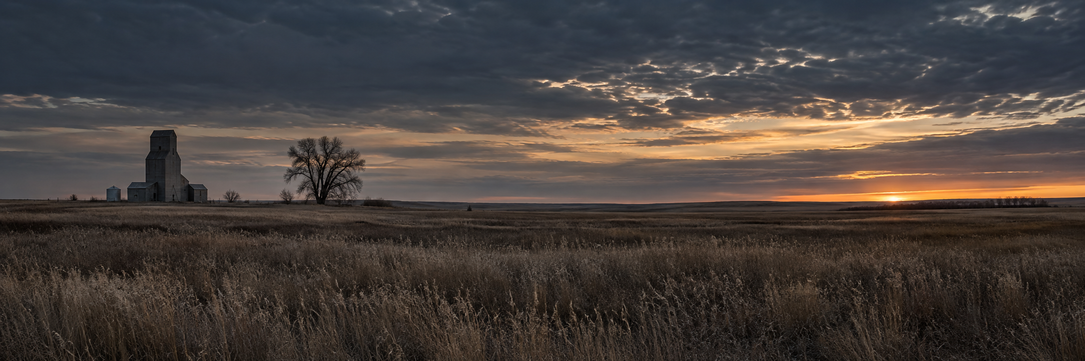 An expansive prairie beneath a storm-darkened sunset, with a grain elevator and bare cottonwood on the horizon.