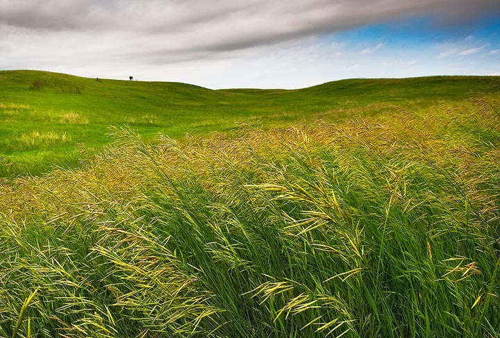 North Dakota Prairie Hills